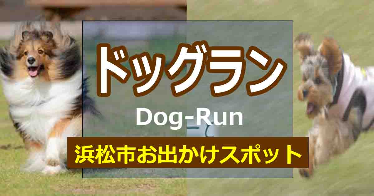 浜松市のドッグラン11選 思いっきり走ってワンちゃんスッキリ Hamap 浜松情報map